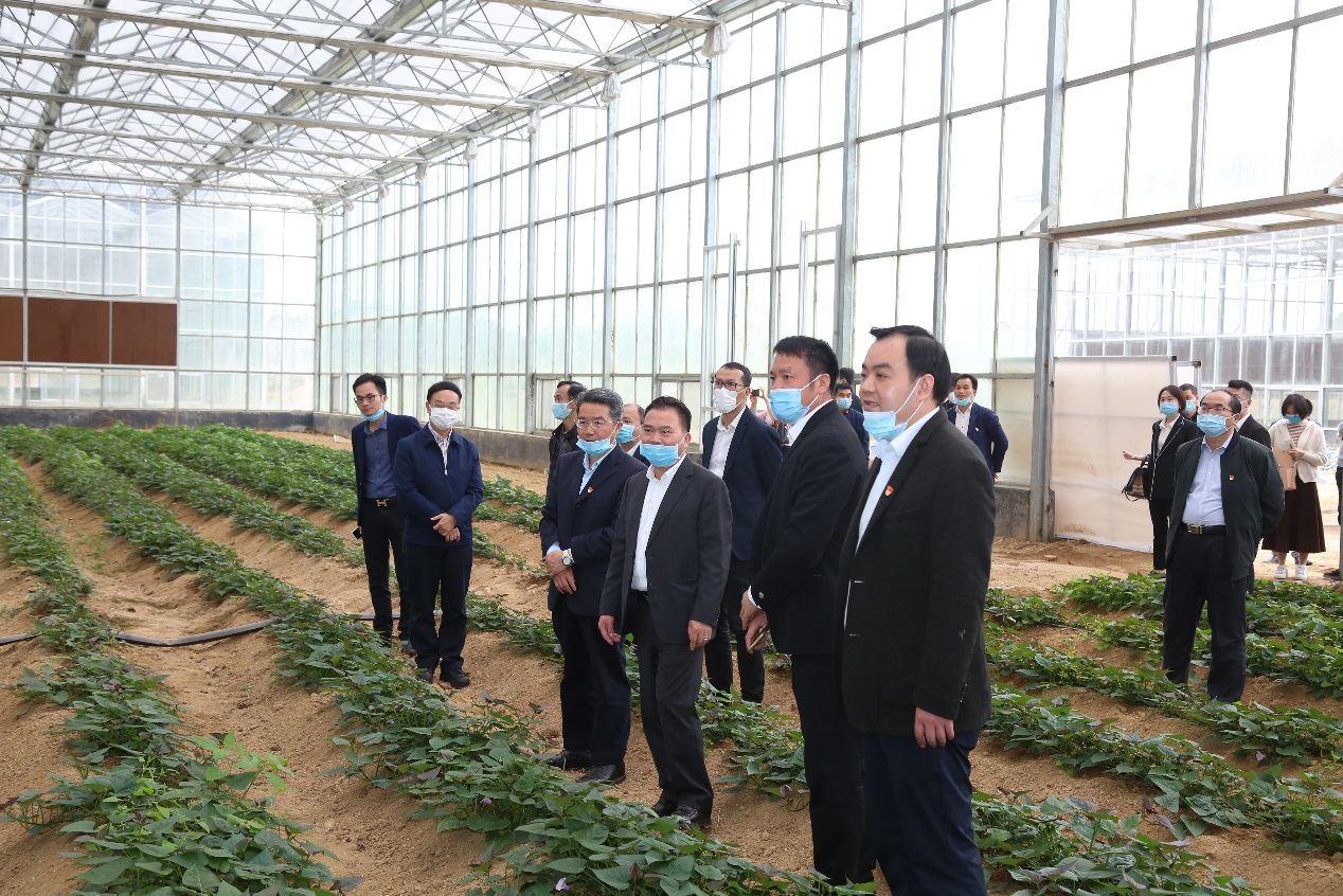 說明: E:\ShareCache\賴妙苗\共享內容\2020.03.17五華縣簽約儀式錄音\【文化中心拍攝圖片】五華花卉種植項目簽約儀式\DE5A5140.JPG